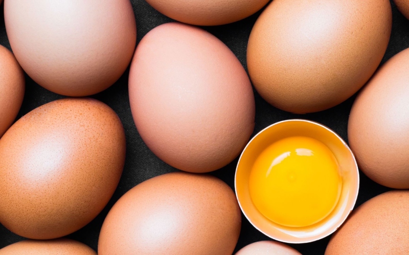 Giá trứng gà hôm nay 29/08 Giá trứng gà hôm nay 29/08