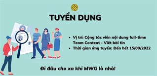 Media MWG tuyển dụng vị trí CTV Full - time team Content - Viết bài tin