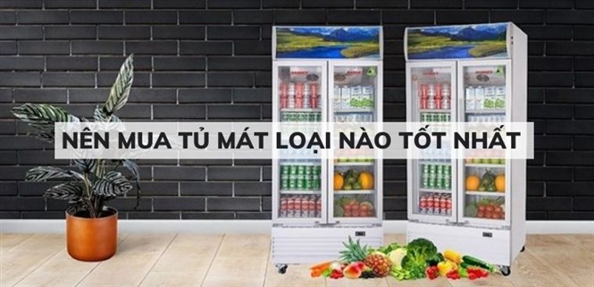 Nên mua tủ mát loại nào tốt nhất hiện nay?