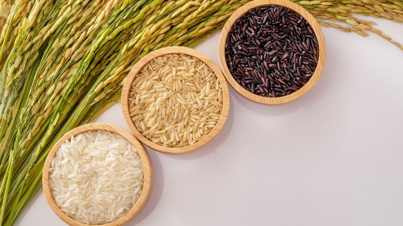 Giá gạo hôm nay 30/8