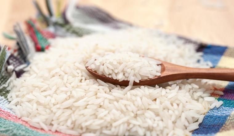 Giá lúa gạo hôm nay 31/8/2022: Tiếp tục duy trì ở mức ổn định