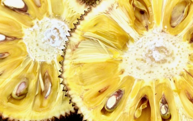 Giá mít Thái hôm nay 31/08/2022