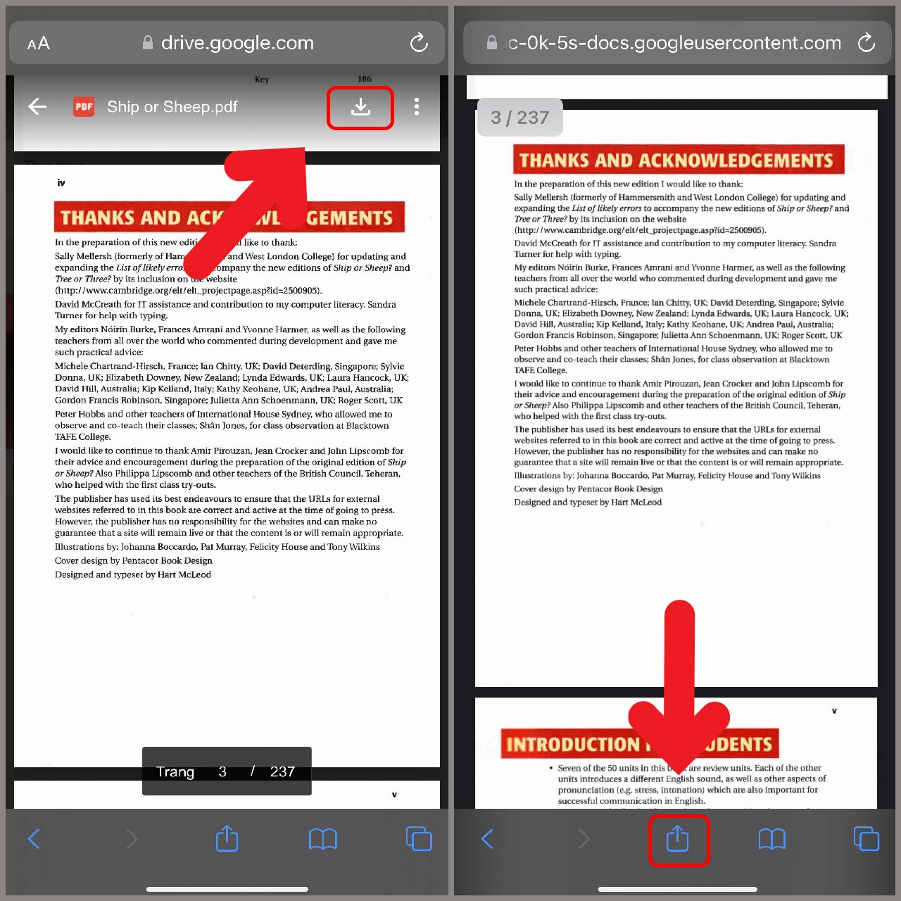 Cách đọc PDF trên iPhone cực kỳ đơn giản và nhanh chóng bạn nên biết