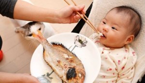 Những lưu ý quan trọng khi cho trẻ nhỏ ăn hải sản