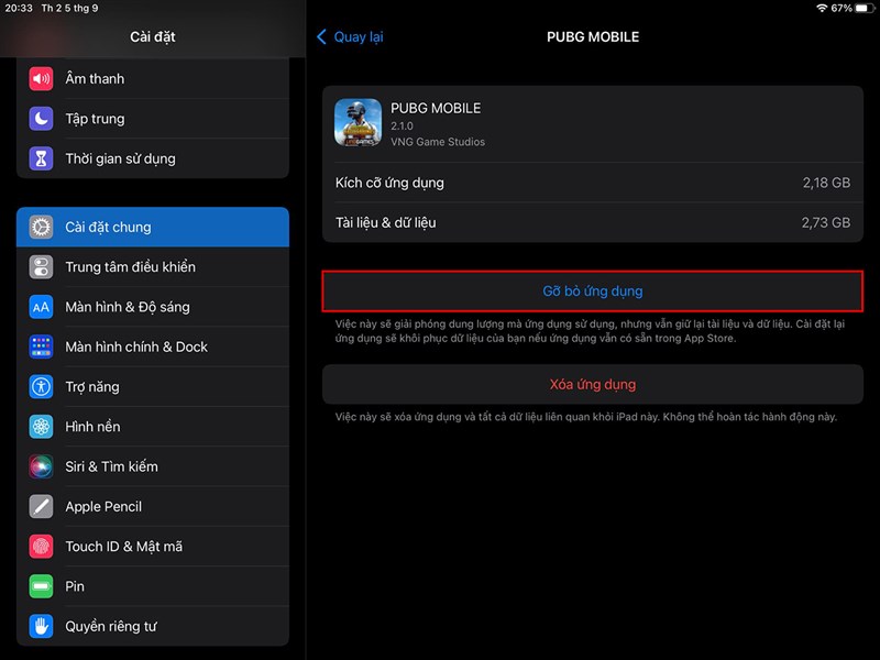 Cách giải phóng dung lượng iPad