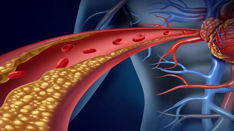 Cholesterol có xu hướng giảm khi sử dụng ngưu bàng