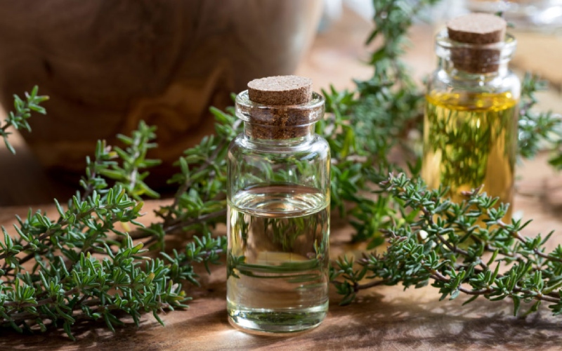 What is thyme essential oil? What are the health effects?