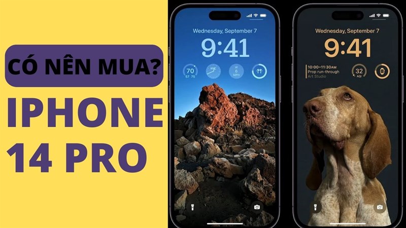 iPhone 14 Pro có Pro không? Cùng tìm hiểu có nên mua mẫu điện thoại mới nhất của Apple nhé