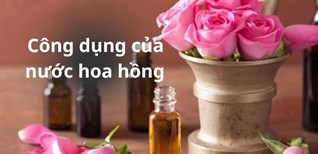 Nước hoa hồng có tác dụng gì? 8 công dụng của nước hoa hồng trong chăm sóc da