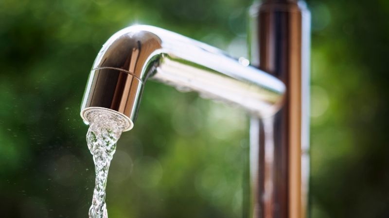 Bạn nên sử dụng nước máy để đảm bảo nguồn nước không chứa quá nhiều florua
