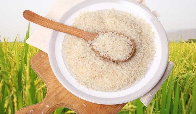 Giá lúa gạo hôm nay 07/9/2022: Ổn định sau một ngày giảm mạnh