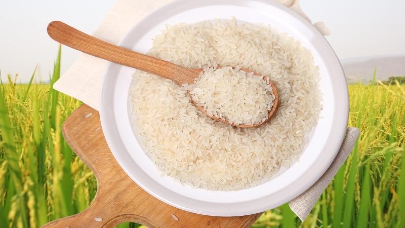 Giá gạo hôm nay 07/9 Giá gạo hôm nay 07/9