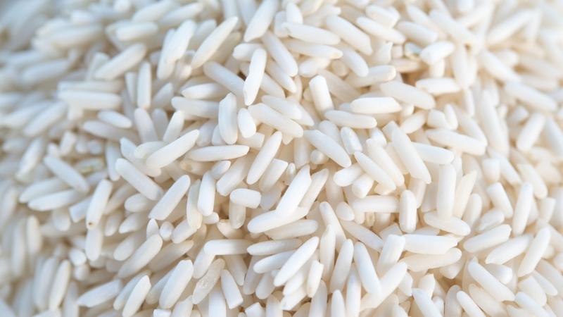 Giá gạo hôm nay 08/9 Giá gạo hôm nay 08/9