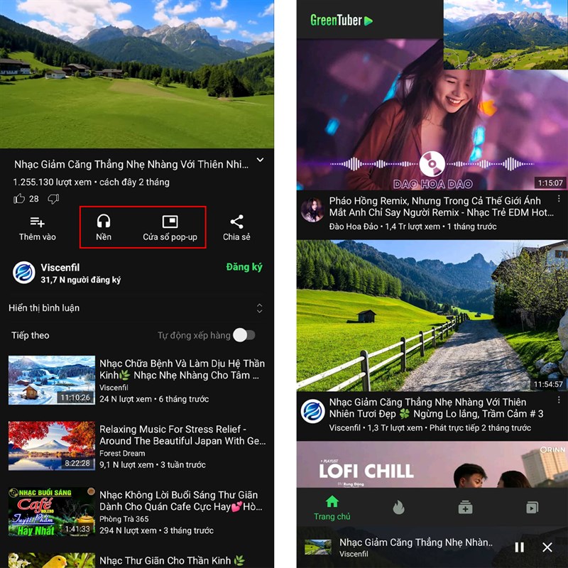 Cách sử dụng GreenTuber