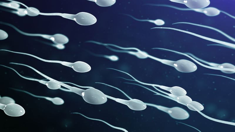 Xét nghiệm tinh dịch đồ giúp phát hiện sự giảm số lượng tinh trùng