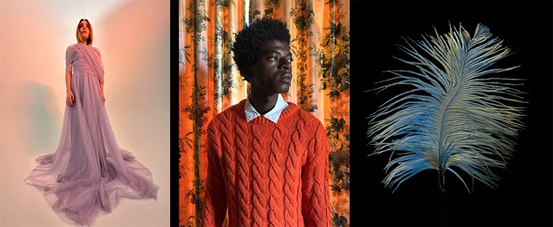 Chất lượng hình ảnh chụp từ iPhone 14 Pro