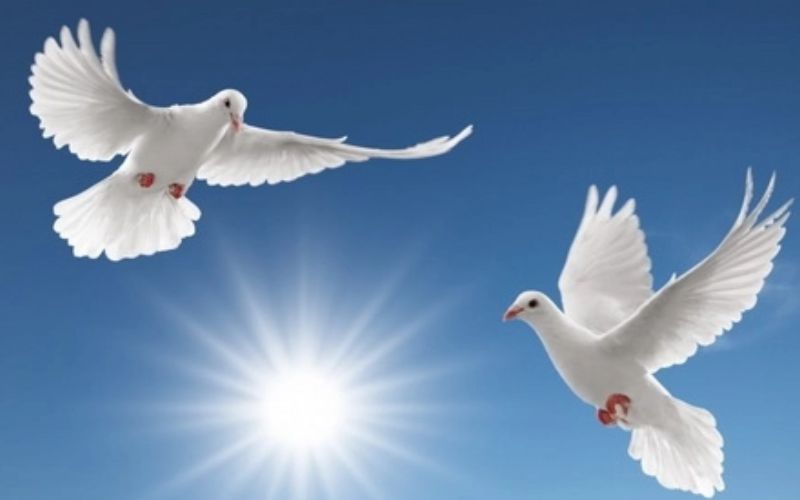 Chủ đề ngày Quốc tế Hòa bình 