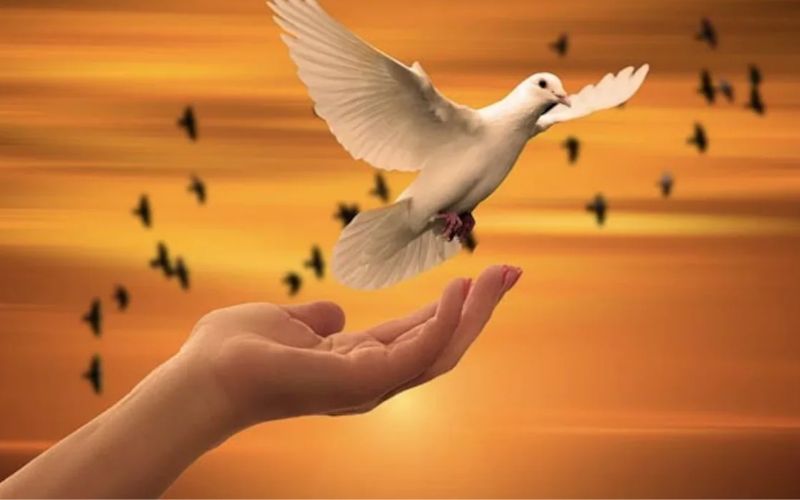 Chủ đề ngày Quốc tế Hòa bình những năm trước