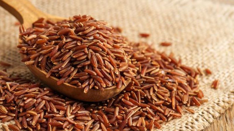 gạo lứt là một loại ngũ cốc nguyên hạt có hàm lượng kali và phốt pho cao hơn so với gạo trắng