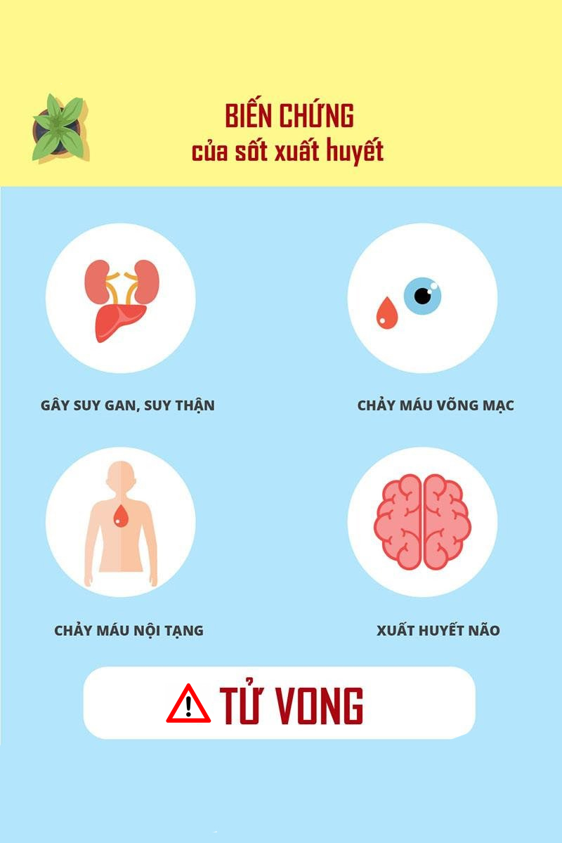 Một số biến chứng nghiêm trọng khác mà người nhiễm sốt xuất huyết có thể gặp phải nếu không được điều trị kịp thời