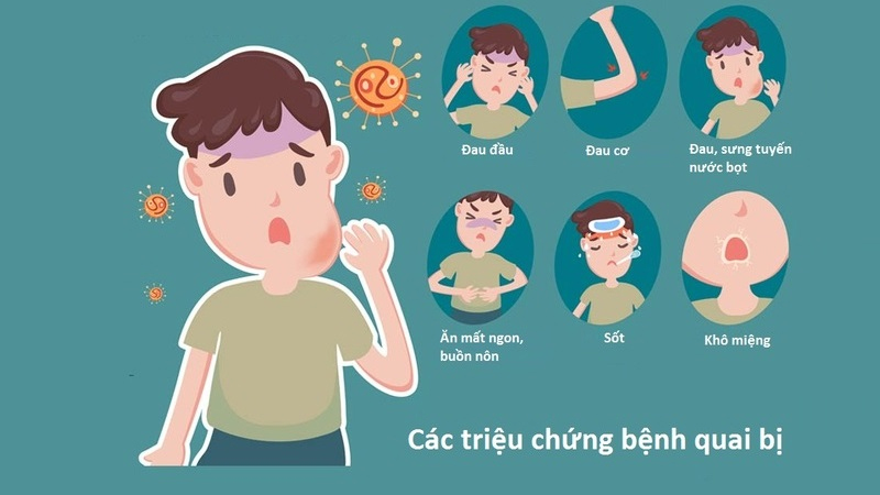 Khi mắc bệnh quai bị sẽ có nguy cơ cao mắc phải các bệnh liên quan đến tinh hoàn như viêm mào tinh