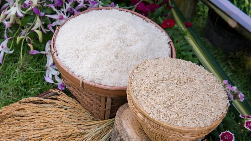 Giá gạo hôm nay 12/9 Giá gạo hôm nay 12/9