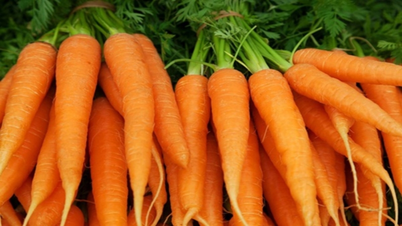 Cà rốt là một nguồn giàu Vitamin A và beta carotene có lợi cho mắt