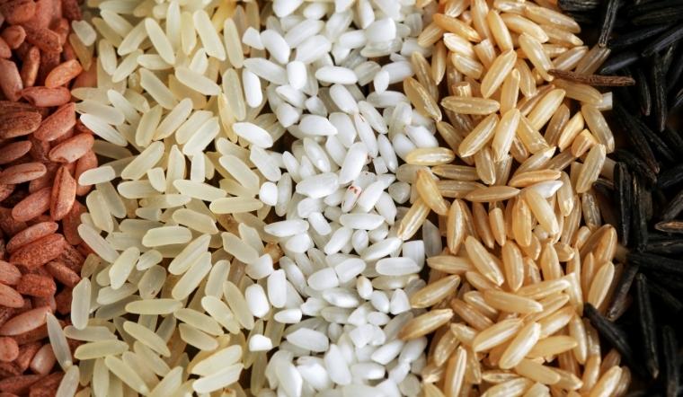 Giá lúa gạo hôm nay 13/9/2022: Tiếp tục duy trì đà đi ngang