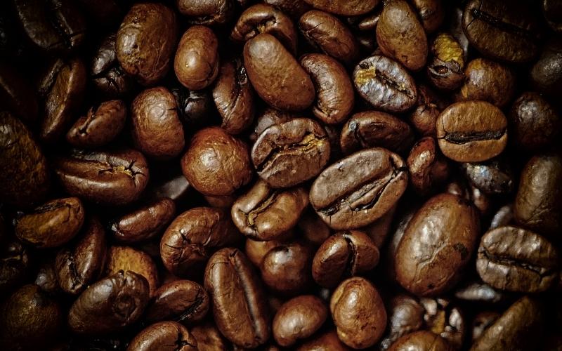 Giá cà phê trong nước hôm nay Giá cà phê trong nước hôm nay