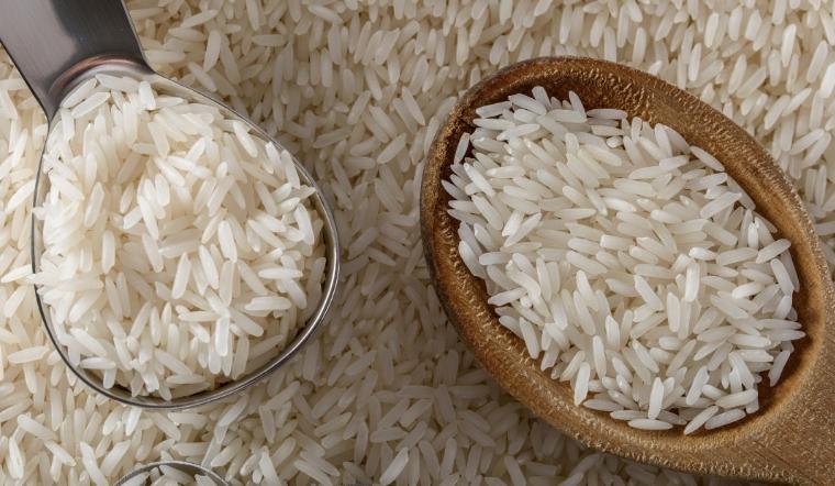 Giá lúa gạo hôm nay 14/9/2022: Chững giá ngày thứ 4 liên tiếp