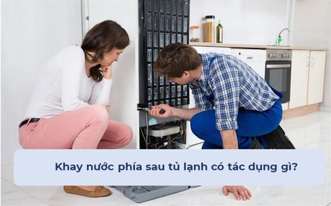 Khay nước phía sau tủ lạnh có tác dụng gì, có cần đổ nước đi không?