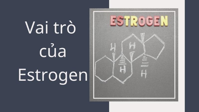 Vai trò của estrogen đối với cơ thể phụ nữ