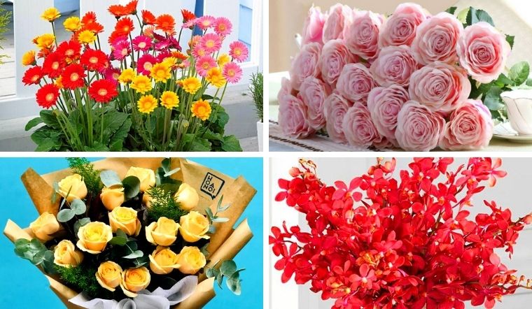 10 loại hoa chúc mừng ngày Doanh nhân Việt Nam 13/10 đẹp ý nghĩa 
