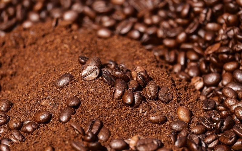 Giá cà phê trong nước hôm nay Giá cà phê trong nước hôm nay