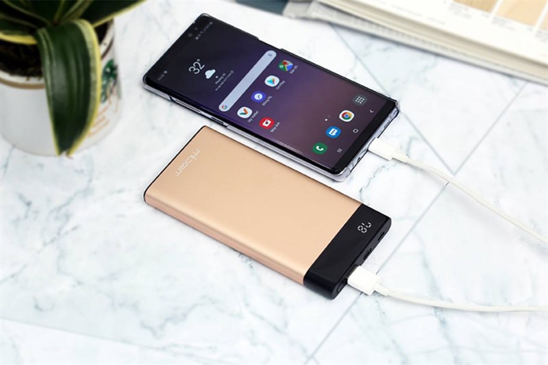 Những món phụ kiện cho người đi cắm trại vô cùng cần thiết nhất định phải mang theo bên mình