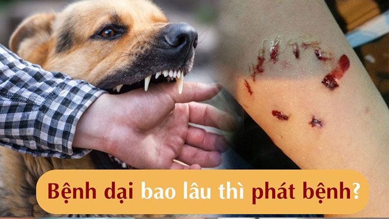 7. Video và tài liệu hữu ích