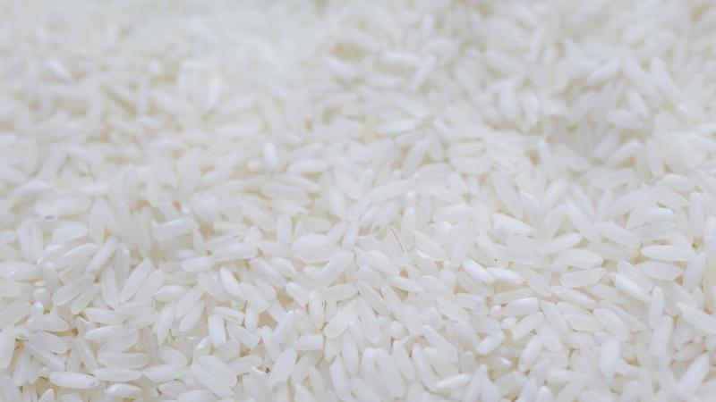 Giá gạo hôm nay 16/9