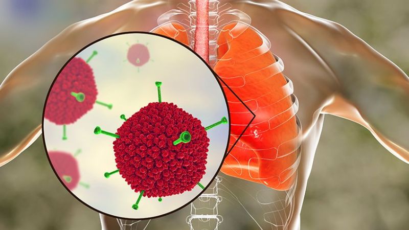 Adeno có khả năng gây bệnh ở nhiều cơ quan