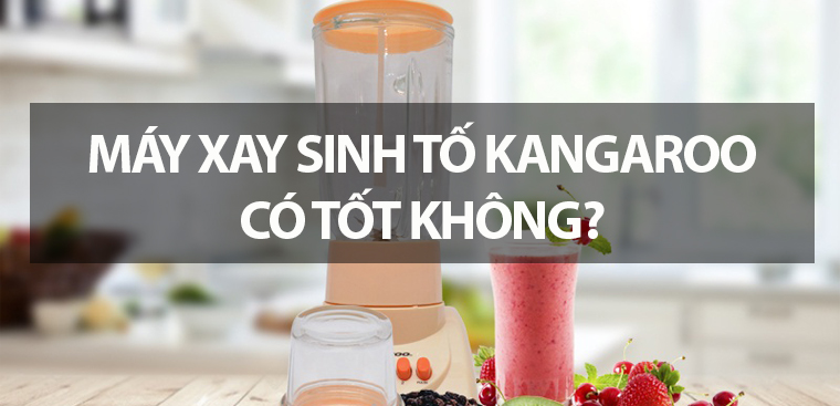 Máy xay sinh tố Kangaroo có tốt không? Có nên mua hay không?