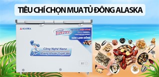 6 tiêu chí chọn mua tủ đông Alaska phù hợp cho gia đình bạn