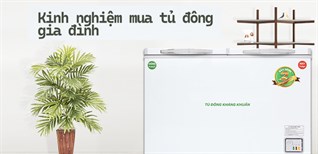 Kinh nghiệm chọn mua tủ đông gia đình cho hộ kinh doanh nhỏ