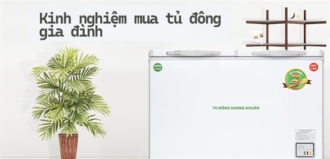 Kinh nghiệm chọn mua tủ đông gia đình cho hộ kinh doanh nhỏ