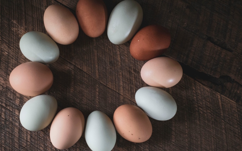 Giá trứng gà hôm nay 20/09