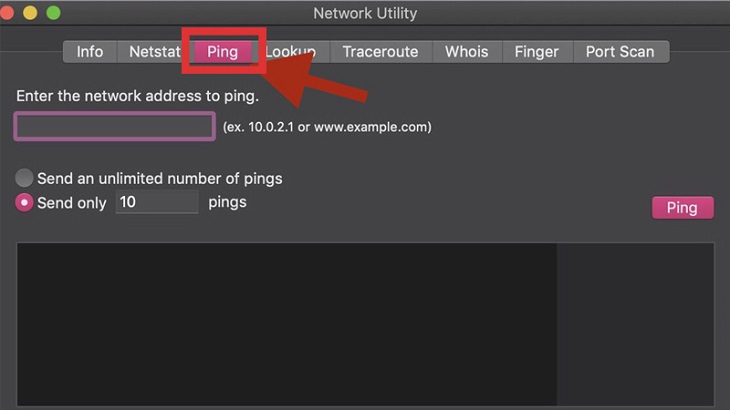 bạn hãy chọn vào thẻ Ping nằm ở đầu cửa sổ