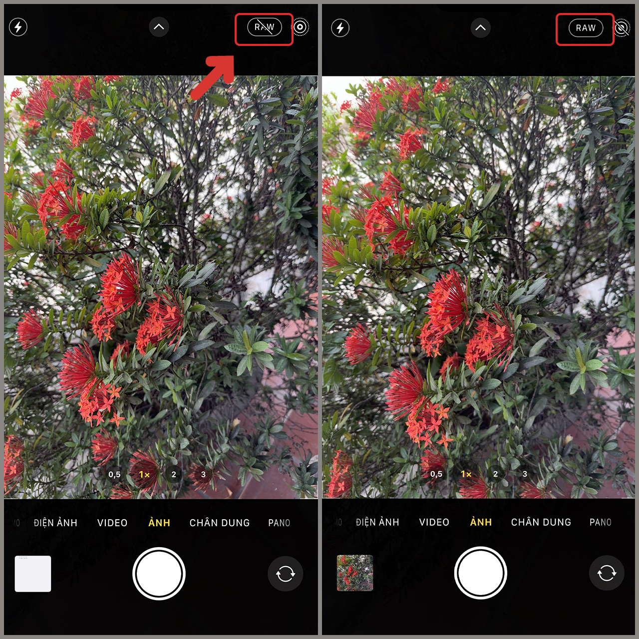 Camera 48 MP trên smartphone là xu hướng mới hiện nay. Với số lượng pixel lớn, các bức ảnh chụp sẽ rõ nét và chi tiết hơn bao giờ hết. Hãy xem hình ảnh để cảm nhận được chất lượng ảnh kỳ diệu được tạo ra từ camera 48 MP.