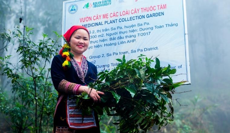 Khám phá bài thuốc tắm lá của người Dao đỏ với vô vàn lợi ích sức khỏe