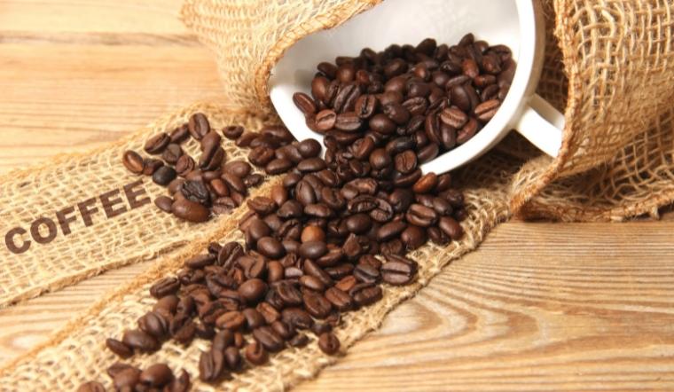 Giá cà phê hôm nay 22/09/2022: Giá trong nước giảm 200đ/kg