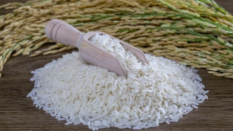 Giá gạo hôm nay 23/9 Giá gạo hôm nay 23/9