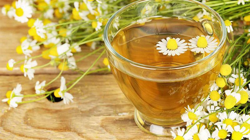 Khả năng giãn cơ trơn và giảm viêm của trà hoa cúc được đánh giá tốt