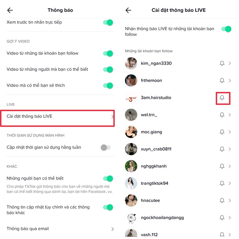 Hướng dẫn bật thông báo TikTok cho những tài khoản bạn đang follow Hướng dẫn bật thông báo TikTok cho những tài khoản bạn đang follow